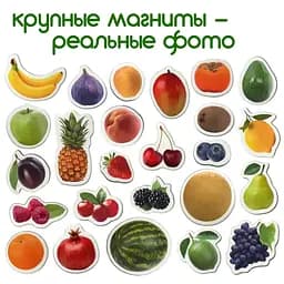 Магнітний набір Magdum Фрукти і ягоди (ML4031-11) - мініатюра 2