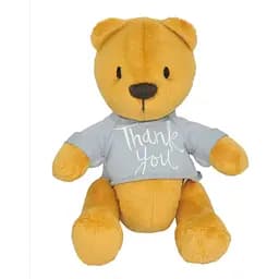 Мягкая игрушка Медвежонок Денни thank you Tigres ВЕ-0207 Разноцветный (4823061518576)