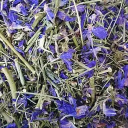 100 г живокость полевая/сокирки трава сушеная - свежий урожай