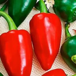 Насіння Весна Перець Подарунок Молдови Зіпер 0.7 г (11903)