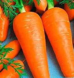 Насіння Весна Морква Арго Зіпер 5 г (177953)