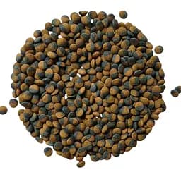 Корм для акваріумних рибок Tetra Cichlid Algae Mini 100 г