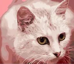 Набор для росписи по номерам Желтоглазый кот, Strateg, 40x50 см, GS1325