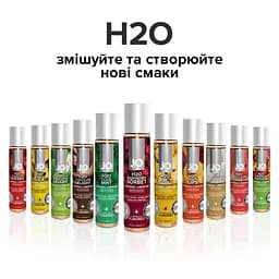 Лубрикант на водній основі System JO H2O, 30 мл, Малиновий сорбет - мініатюра 5