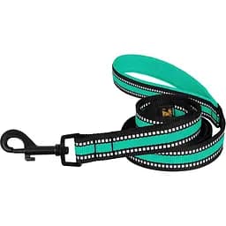 Поводок для собак BronzeDog Mesh, размер L, 200х2,5 см, ментоловый