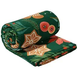 Плед LeLit Велсофт Новогодний Зеленый Прянички 200х220 см (le2000000324203)