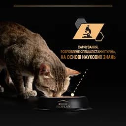 Набір вологий корм для дорослих стерилізованих котів Purina Pro Plan шматочки в желе з індичкою 10 шт х 85 г - мініатюра 8