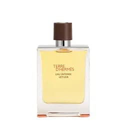 Парфюмированная вода Hermes Terre d'Hermes Eau Intense Vetiver 100 мл