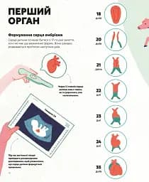 Серце. Історія, наука і багато любові - Ноемі Фабра - мініатюра 4