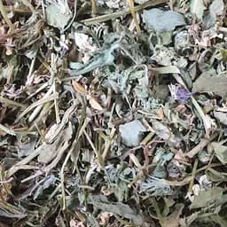 100 г фиалка трехцветная трава сушеная - свежий урожай