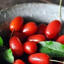 Саджанець Agro-Market Гумі (серебристолистий) 1 шт. в пакуванні (44885)