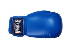 Боксерські рукавиці (PP-3004) PowerPlay 18 унцій fit0003806 - мініатюра 5
