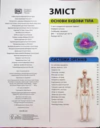 Енциклопедія знань. Тіло людини - мініатюра 3