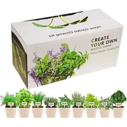 Набор для выращивания трав Supretto на подоконник (71800001)