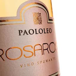 Вино ігристе Paololeo RosaRose Negroamaro Brut Spumante Rose рожеве брют 0.75 л - мініатюра 3