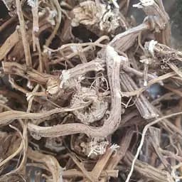 Крапива корни сушеные - свежий урожай 100 г 