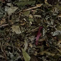 Збір трав'яний для розрідження крові, 100 г 