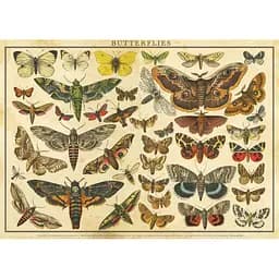 Пазли тришарові Interdruk Vintage Nature 1, 2000 шт. (385031) - мініатюра 3