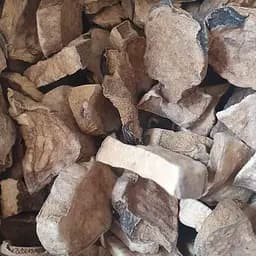 100 г кувшинка белая водяная лилия корень сушеный - свежий урожай