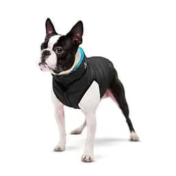 Куртка двостороння AiryVest для собак салатово-блакитна, розмір L65 - мініатюра 9
