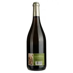 Вино Magnum Vinha da Neve DO Dao 2019 біле сухе 0.75 л - мініатюра 2