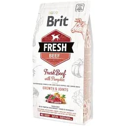Сухой корм для щенков крупных пород Brit Fresh Beef & Pumpkin Puppy Large с говядиной и тыквой 2.5 кг