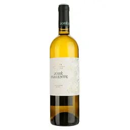 Вино Bodegas Jose Pariente Sauvignon Blanc DO Rueda біле сухе 0.75 л