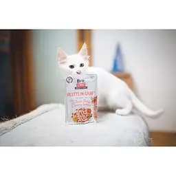 Вологий корм для котів Brit Care Cat pouch 85g (філе індички та лосося в соусі) - мініатюра 5