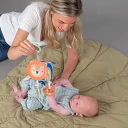 Розвиваюча іграшка-кубик Taf Toys Саванна Веселі звірятка (12755) - мініатюра 4