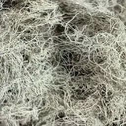 100 г уснея/мох-бородач лишайник сушеный - свежий урожай