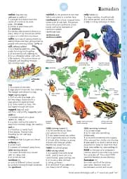 Illustrated English Dictionary (updated edition) - мініатюра 11