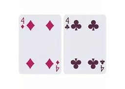 Карти гральні United States Playing Card Company Bicycle Verbena (ВР_КИБВ) - мініатюра 5