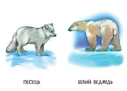 22 картинки. Прогулянка зоопарком - - мініатюра 3
