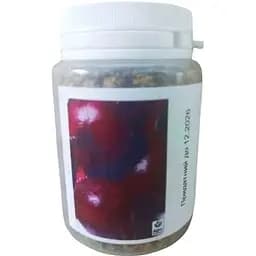 Свекла Весна Винегретная (в банке) Органик 20г (45424)