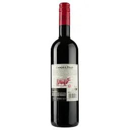 Вино Origin Wine Camden Park Shiraz Grenache червоне сухе 14% 0.75 л (8000015639553) - мініатюра 2