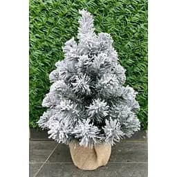 Ялинка Hvoya Classic в мішковині 50 см засніжена