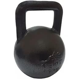 Гиря чугунная Newt NE-100-1600 16 кг