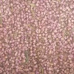 100 г вереск обыкновенный трава сушеная - свежий урожай 