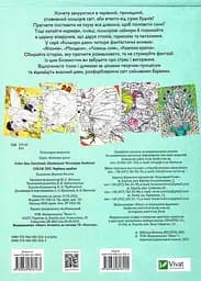 Розмальовка Vivat Color Zen Чарівна країна - мініатюра 2