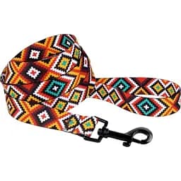 Поводок для собак Barksi BronzeDog Tribal гулульский оранжевый M