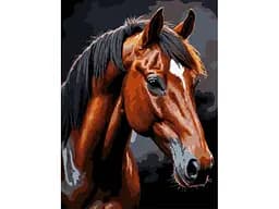 Картина за номерами Strateg Коричневий кінь на чорному фоні (30х40 см)