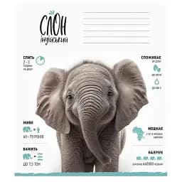 Зошит учнівський Школярик Africa Animals 012-3279K-2 в клітинку 12 аркушів