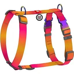 Анатомическая H-образная шлейка для собак Waudog Nylon Recycled с QR-паспортом, градиент, M, Ш 20 мм, А 40-70, B 47-65, оранжевый