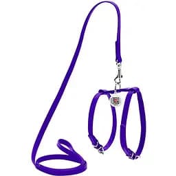Шлей с поводком для собак Waudog Glamour кожаный с QR паспортом, фиолетовый