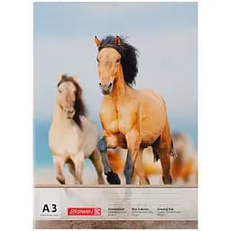 Альбом-склейка для рисования Brunnen А3, 10 листов в ассортименте (1047903)