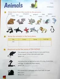 Storyfun for Movers. Level 4. Student's Book with Online Activities and Home Fun B - мініатюра 9