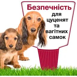 Краплі Elanco (Bayer) Advantix від бліх і кліщів для собак від 40 до 60 кг 24 мл  (6 мл x 4 піпетка) - мініатюра 11