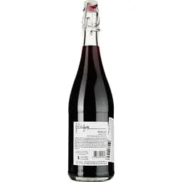 Вино Fildefere Merlot IGP Pays D'OC червоне сухе 0.75 л - мініатюра 2