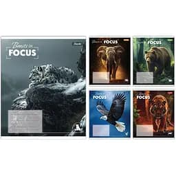 Зошит учнівський "Beasts in Focus" 1 Вересня 768059 36 аркушів Різнокольоровий 1 шт. в асортименті
