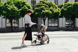 Коляска прогулянкова Britax-Romer Rio Teak (2000041613) - мініатюра 16
